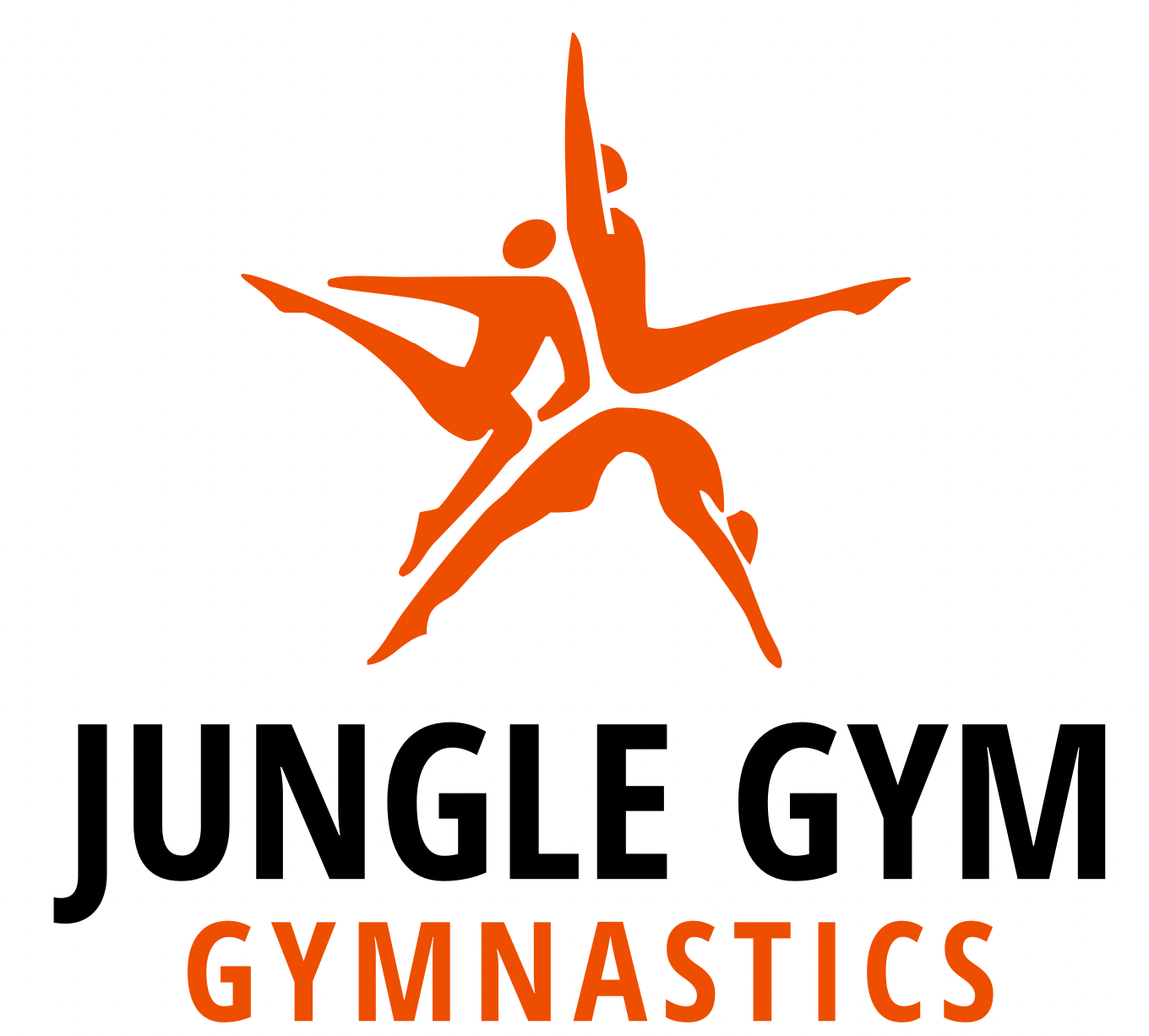 Gymnastics jungle gym hot sale